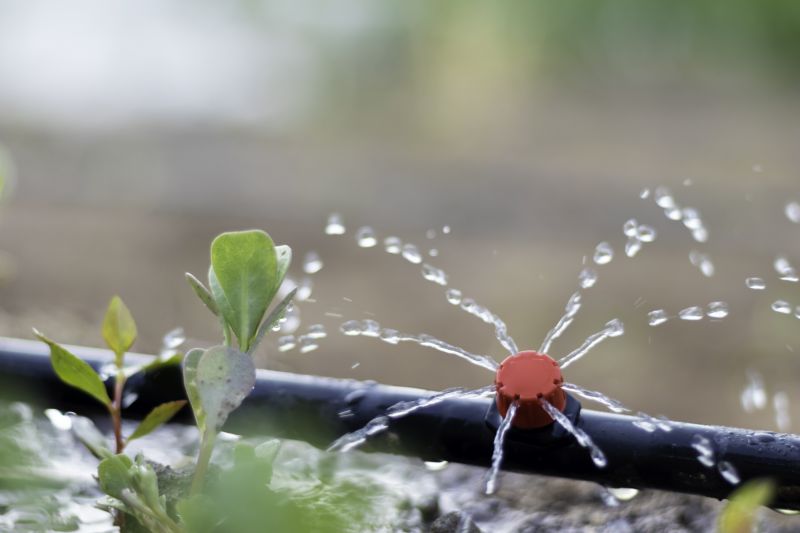 Garden Irrigation Installation