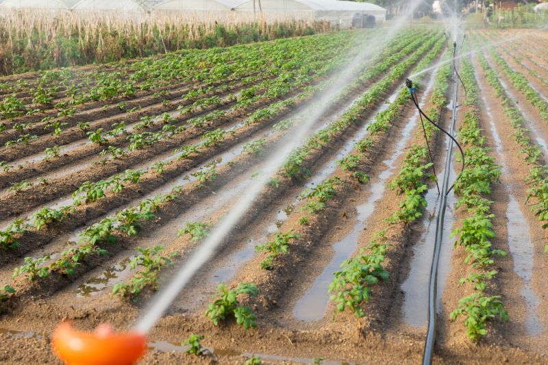 Irrigation System Installation
