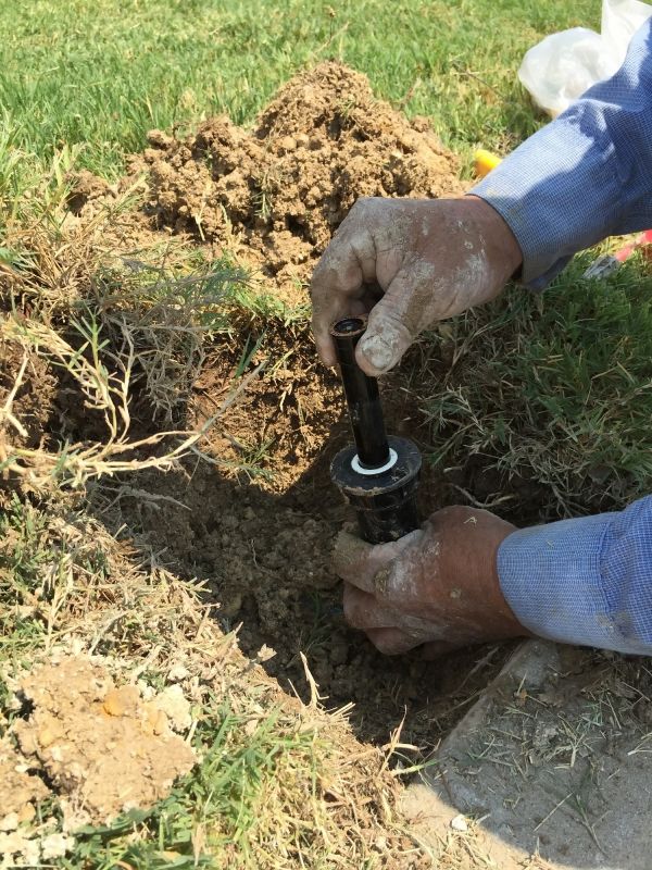 Sprinkler Head Replacement