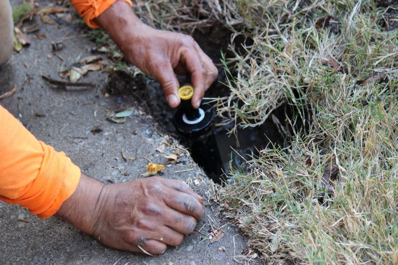 Sprinkler Head Replacement