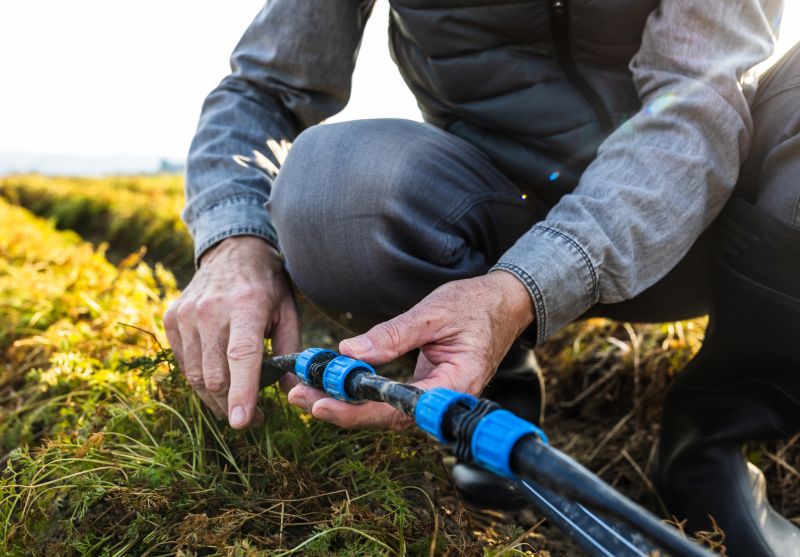 Local Plumbing Experts